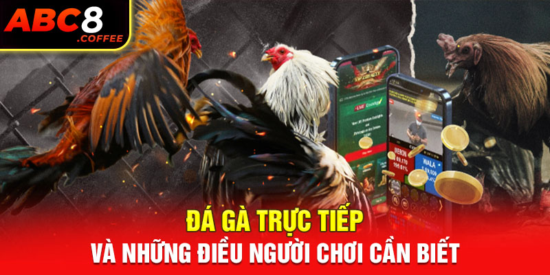 Đá Gà Trực Tiếp Và Những Điều Người Chơi Cần Biết 