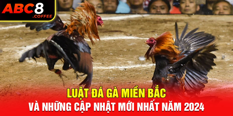 Luật Đá Gà Miền Bắc Và Những Cập Nhật Mới Nhất Năm 2024