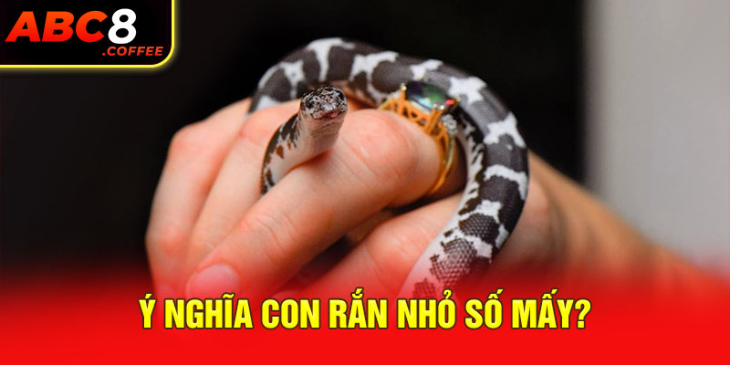 Ý nghĩa con rắn nhỏ số mấy?