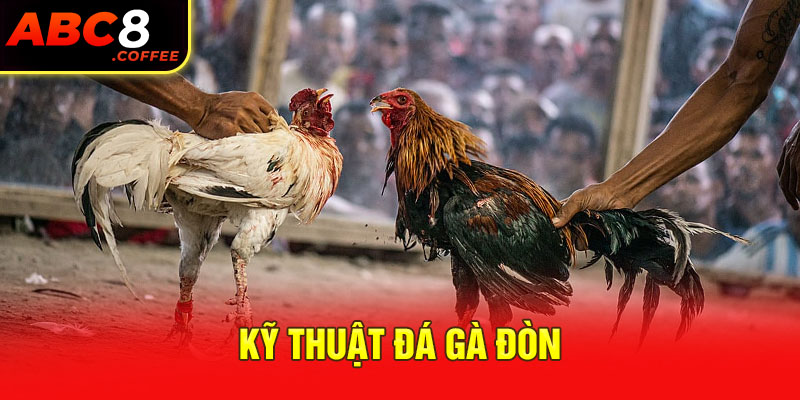 Kỹ thuật đá gà đòn