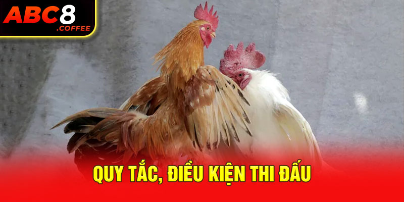 Quy tắc, điều kiện thi đấu