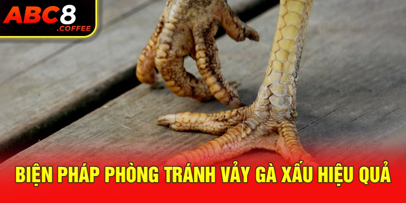 Biện pháp phòng tránh 23 vảy gà xấu hiệu quả