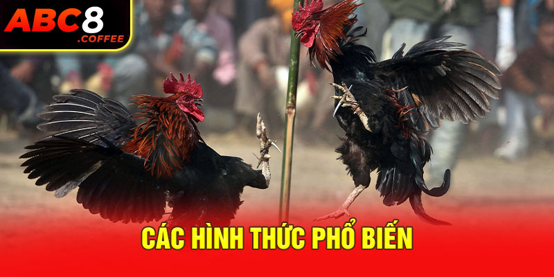 Các hình thức phổ biến