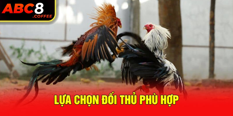 Lựa chọn đối thủ phù hợp