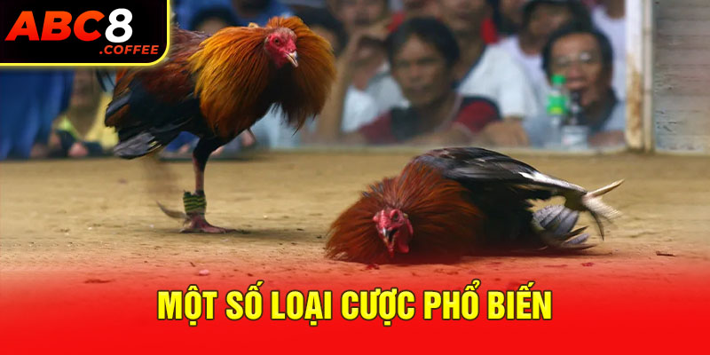 Một số loại cược phổ biến