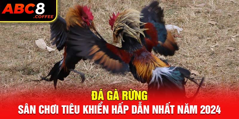 Đá Gà Rừng - Sân Chơi Tiêu Khiển Hấp Dẫn Nhất Năm 2024